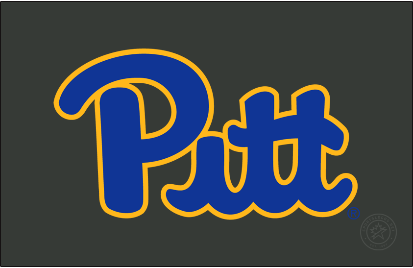 Pittsburgh Panthers 2019-Pres Primary Dark Logo diy iron on heat transfer
